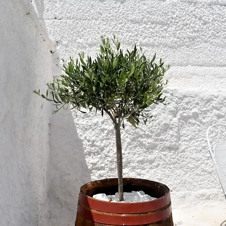 The Greek Side Of Life! Villa Artemida (Attica)